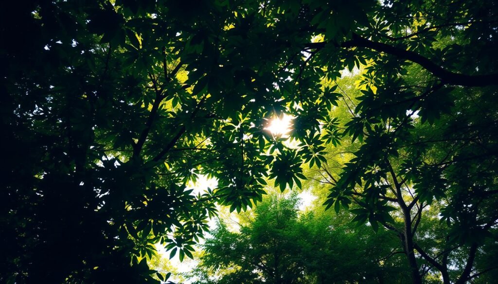 A lush, vibrant tree canopy fills the frame, its verdant leaves casting dappled shadows across the scene. The foliage is dense and layered, with a subtle interplay of light and shadow. In the foreground, the detailed branches and leaves create a sense of depth and texture, while the middle ground features a softer, more diffuse canopy. The background blends seamlessly, with the sky peeking through the leaves in a warm, golden glow. The lighting is natural and atmospheric, creating a sense of tranquility and serenity. Captured with a wide-angle lens, the image conveys the scale and grandeur of the tree canopy, inviting the viewer to imagine themselves beneath its sheltering embrace.